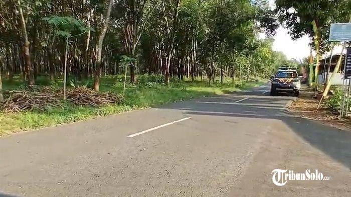 LOKASI BEGAL PAYUDARA - Alas karet di Kecamatan Kedawung, Kabupaten Sragen, yang menjadi lokasi percobaan begal payudara terhadap seorang pengendara sepeda motor perempuan. Kejadian tersebut pertama kali diunggah di akun instagram sragenkita, yang menyatakan bahwa kejadian itu terjadi pada Selasa (13/5/2025) sore.
