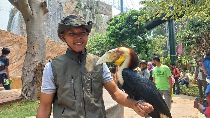Berinterkasi secara langsung dengan berbagai jenis burung di Jakarta Bird Land