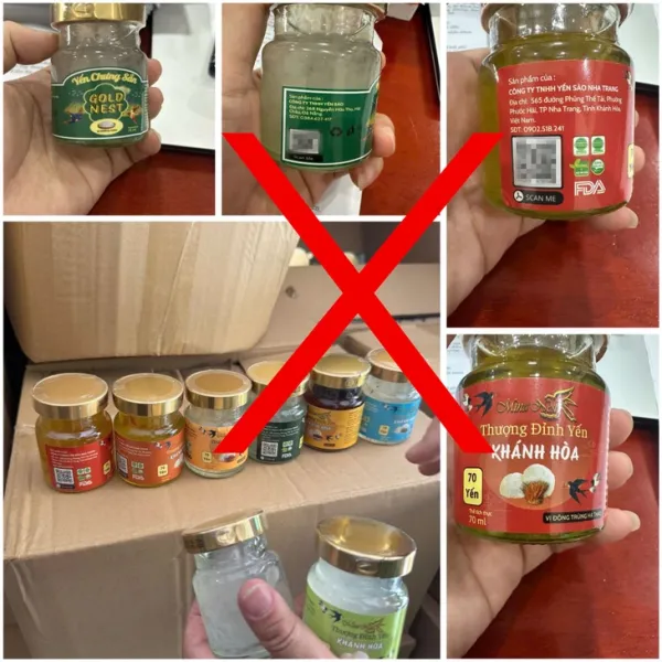 giả - Ảnh 2.