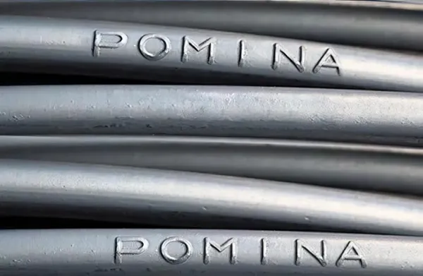 pomina - Ảnh 1.