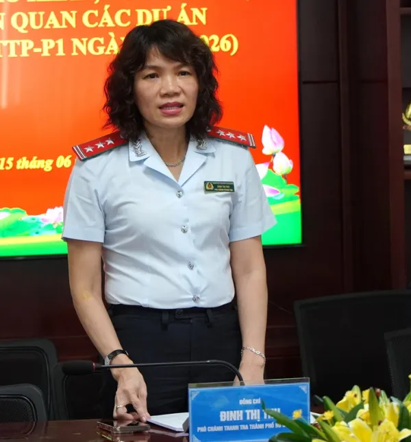 Thanh tra TP.HCM công bố kết luận, kiến nghị gỡ vướng 100 dự án tồn đọng - Ảnh 1.