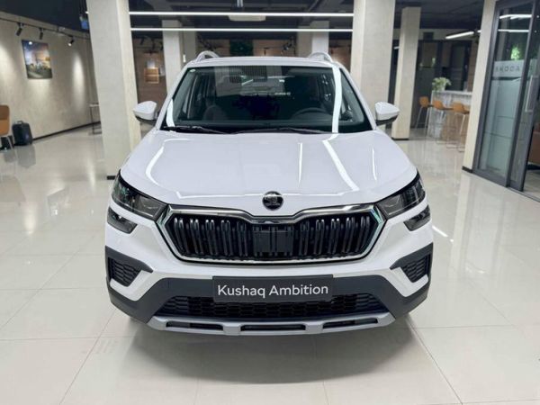 Skoda Kushaq - Ảnh 1.