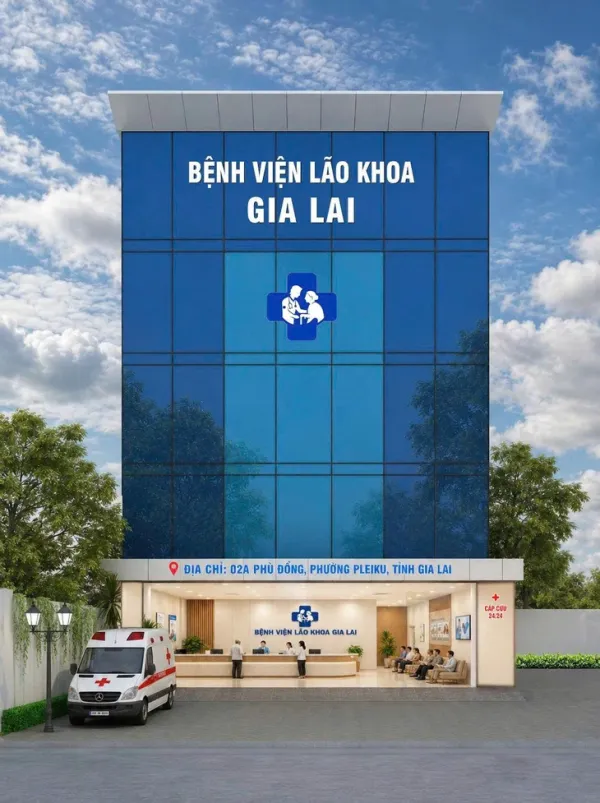 Đầu tư bệnh viện chuyên biệt phục vụ người cao tuổi tại Gia Lai - Ảnh 1.