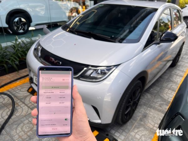 xe điện - Ảnh 1.