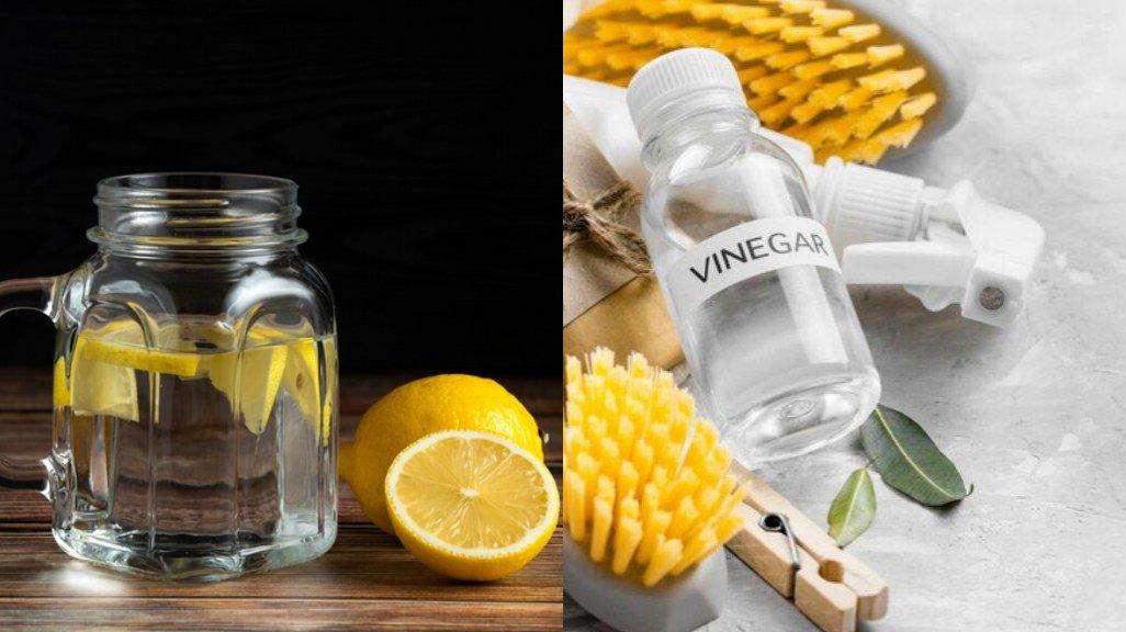 Ilustrasi air lemon dan cuka putih