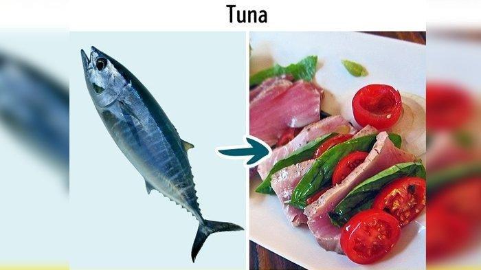 Ikan tuna tidak boleh dimakan banyak-banyak