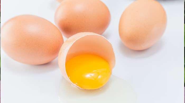 Manfaat konsumsi kuning telur setiap hari
