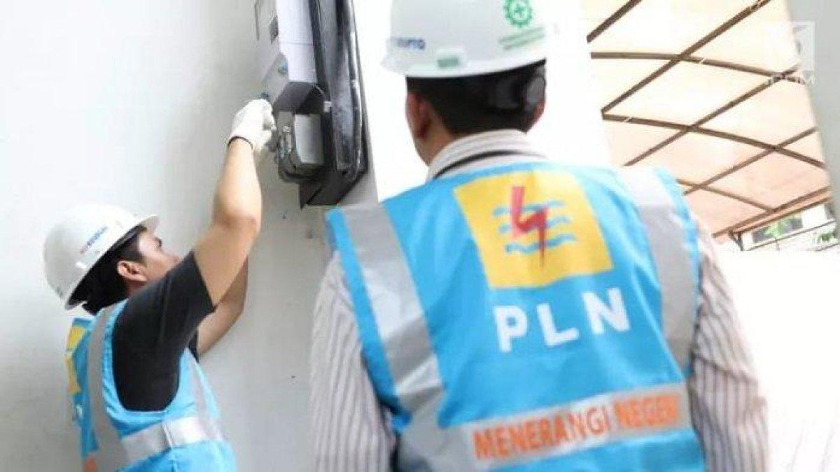 Petugas PLN mengecek meteran listrik warga. 