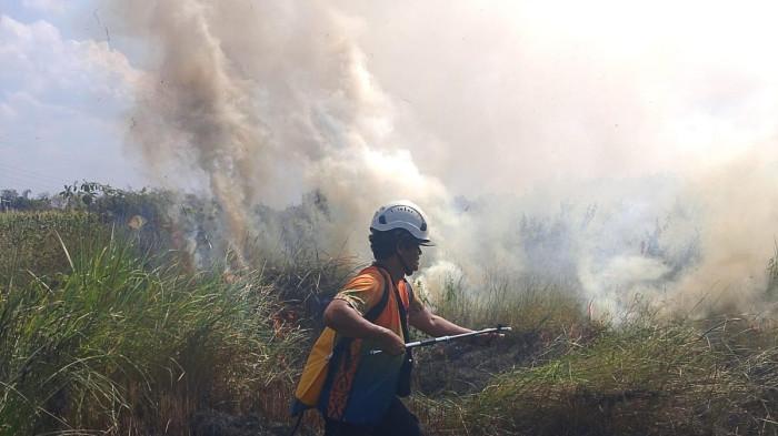 KEBAKARAN LAHAN  - Proses pemadaman oleh BPBD Kabupaten Klaten pada lahan seluas tiga hektar yang terbakar di Kabupaten Klaten, Jawa Tengah pada Sabtu (20/6/2026). (HO/ BPBD Kabupaten Klaten).