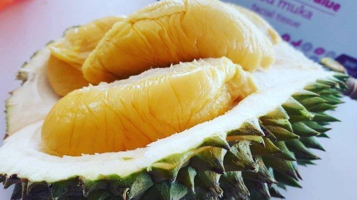DURIAN MATANG- Kondisi durian yang sudah matang tampak warnanya kuning dengan daging yang tebal.