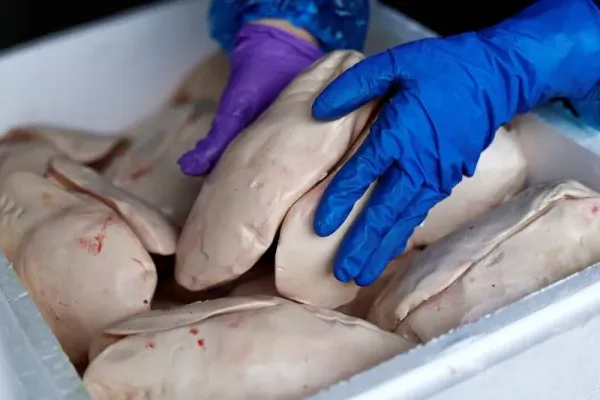 Bisnis Foie Gras, Pria yang Pernah Kelaparan Ini Sekarang Hidup Mewah
