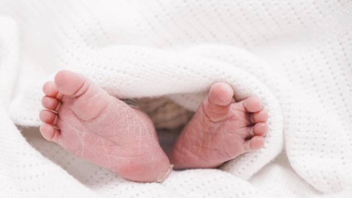 BAYI AMANDA MANOPO - Potret Zac, bayi laki-laki dari pasangan selebritas Amanda Manopo dan Kenny Austin. Kabar bahagia itu diumumkan oleh Kenny di unggahan Instagramnya.