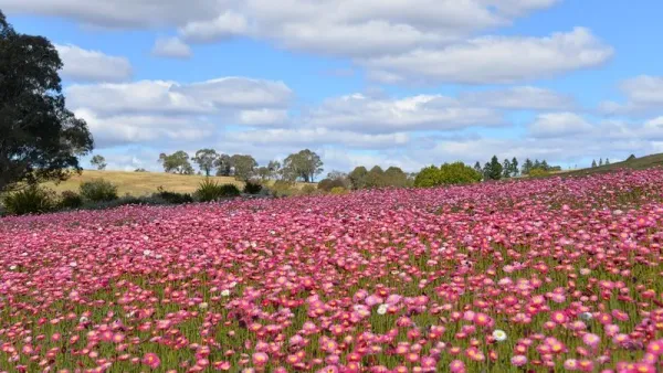 Destination New South Wales Destination New South Wales