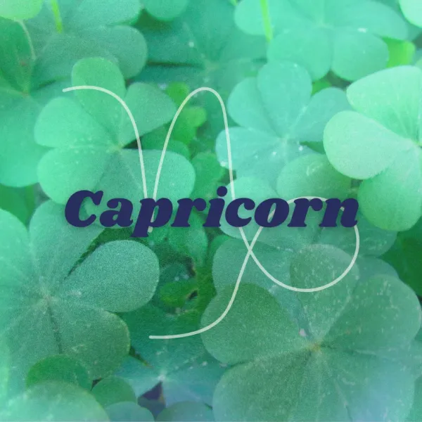 capricorn zodiac signs abundance luck june 24, 2026