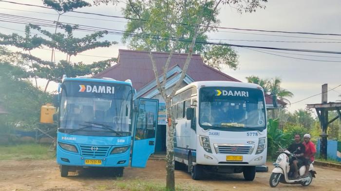 JADWAL DAMRI - Tampak Bus Damri yang akan berangkat melalui terminal di Jalan Perintis, Tideng Pale, Kecamatan Sesayap, KTT, Kaltara, pada Rabu (24/6/2026). Jangan lupa catat info Bus Damri hari ini rute Tana Tidung ke Tanjung Selor dan Malinau, cek Jadwal Damri dan tarif terbaru. (TribunKaltara.com / Rismayanti)
