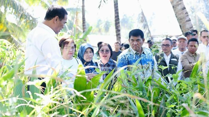 KUNKER - Gubernur Sulawesi Utara Yulius Selvanus Komaling (YSK) dan Menteri Pertanian Andi Amran Sulaiman saat kunjungan kerja meninjau kebun bibit di lokasi pembibitan pertanian, Kelurahan Bengkol, Kecamatan Mapanget, Kota Manado, Sulut, Jumat (1/5/2026). Kabar terbaru, Pemerintah Provinsi Sulawesi Utara (Sulut) terus memperkuat sektor pertanian melalui sinergi dengan pemerintah pusat. Dalam hal ini meningkatnya alokasi bantuan pertanian dari Kementerian Pertanian Republik Indonesia (Kementan RI).