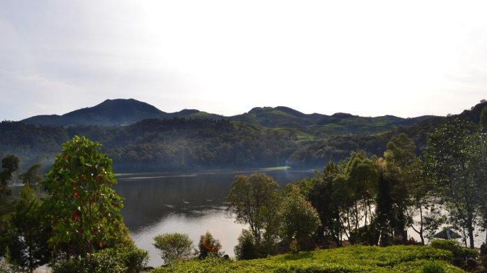 Pemandangan danau Situ Patenggang yang dikelilingi tumbuhan hijau.