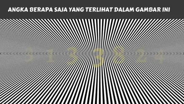 Soal selanjutnya, kira-kira ada berapa ya angka yang tersembunyi?