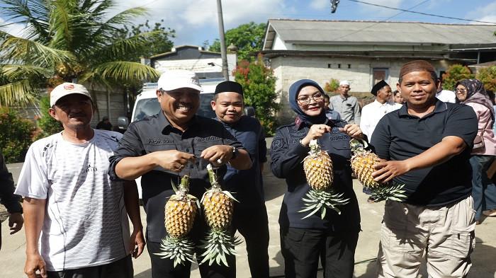 PANEN NENAS -- Wali Kota Pangkalpinang, Saparudin Masyarif bersama Kepala Kanwil Ditjen PAS Babel dan warga menunjukkan hasil panen nanas unggulan Tuatunu dalam rangka penguatan program ketahanan pangan dan hilirisasi produk UMKM lokal, Jumat (26/6/2026).