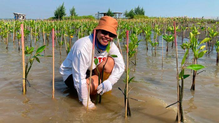 aksi Corporate Social Responsibility (CSR) penanaman 1.000 mangrove di Pantai Mangunharjo, Kota Semarang, 26/6/2026.