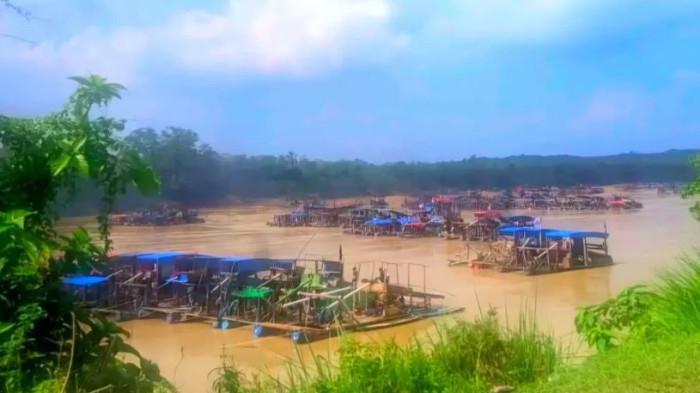 Wahana Lingkungan Hidup Indonesia Jambi mengungkap temuan adanya aktivitas tambang emas ilegal dalam skala besar di Desa Teluk Langkap.