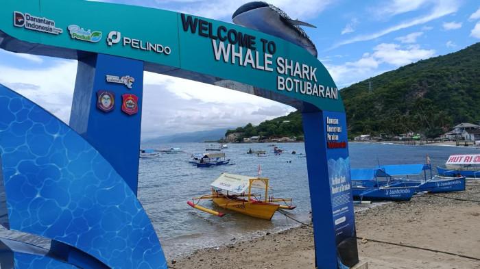 HIU PAUS-- Suasana objek wisata Hiu Paus Botubarani di Desa Botubarani Kecamatan Kabila Bone Kabupaten Bone Bolango, Provinsi Gorontalo pada Sabtu (30/5/2026)