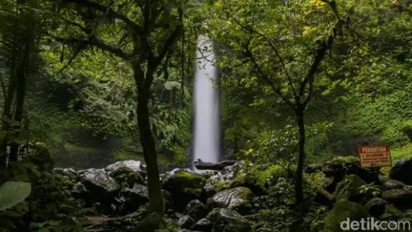 Situ Gunung di Sukabumi menjadi salah satu destinasi wisata alam yang ramai dikunjungi. Kawasan ini menawarkan dua daya tarik utama, yakni Curug Sawer dan wahana Keranjang Sultan.