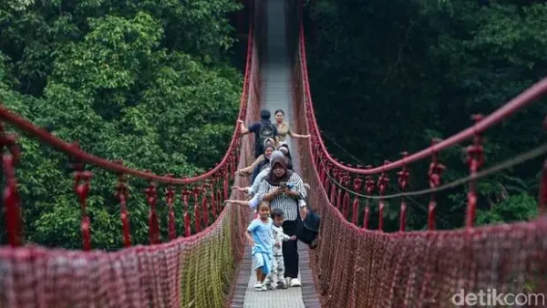 Jembatan Situ Gunung, menjadi salah satu destinasi wisata alam yang menarik di Jawa Barat. Terpanjang se-Asia, tempat ini menawarkan pengalaman seru bagi para pencinta petualangan.