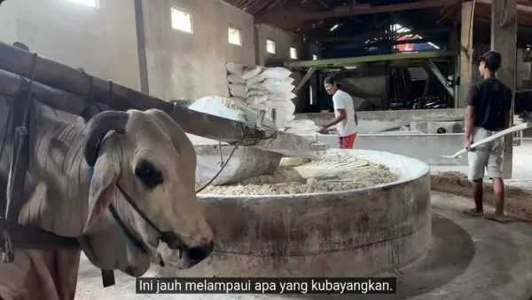 Proses pembuatan mie lethek di Bantul, Yogyakarta, sukses bikin orang Jepang tidak bisa berkata-kata.