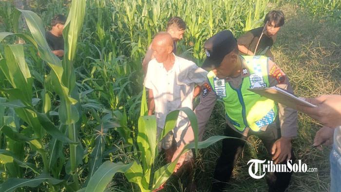 TEMUKAN BAYI PEREMPUAN - Warga digegerkan dengan temuan sosok bayi perempuan yang ditelantarkan di kebun jagung milik warga di Dukuh Ngemplak, Desa Sekarsuli, Kecamatan Klaten Utara, Kabupaten Klaten, Minggu (28/6/2026). Warga yang tengah melakukan bersih sungai tidak jauh dari lokasi penemuan mengaku mendengar suara aneh seperti anak kucing yang ternyata adalah tangisan bayi tersebut.
