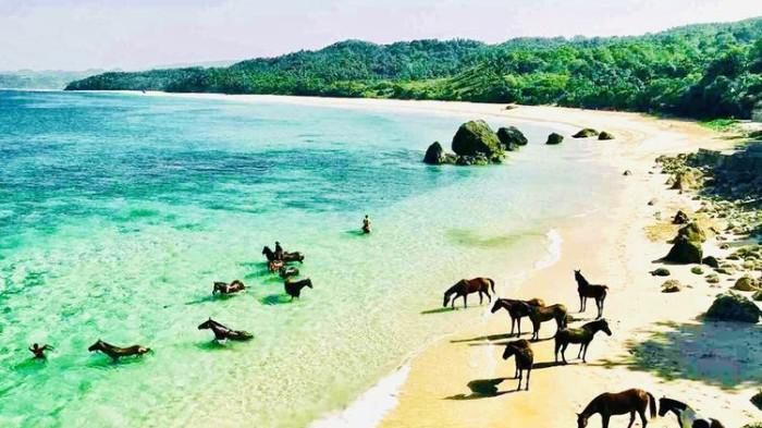Aktivitas Berkuda di Tepi Pantai Nihiwatu