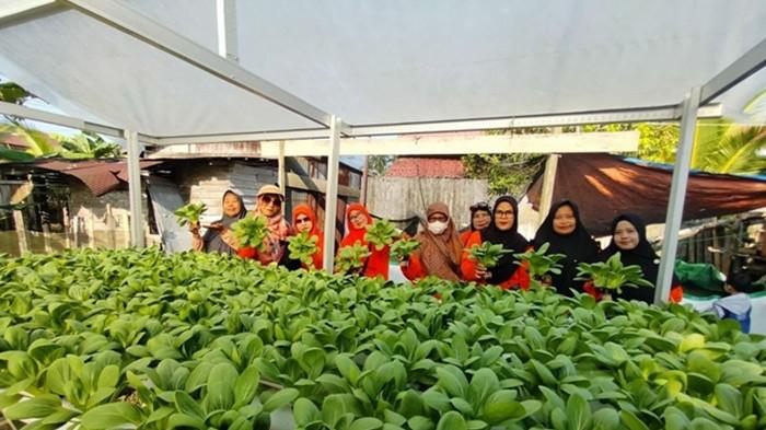 kebun gizi lansia yang berada di Samarinda