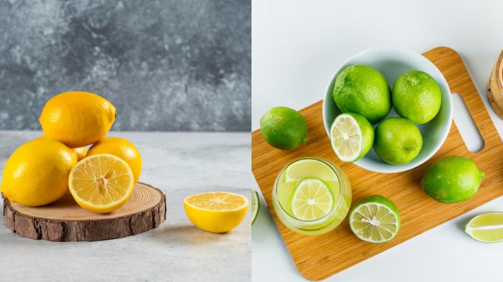 Ilustrasi lemon dan jeruk nipis
