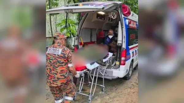 Ngeri! Suami Istri Masuk RS Setelah Makan Jamur Liar yang Dikira Aman