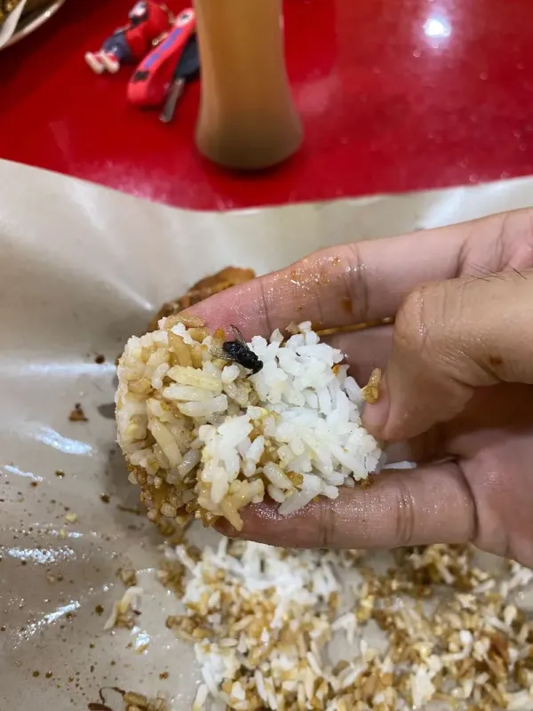 Makan Ayam Gepuk, Pria Ini Kaget Temukan Lalat Goreng di Nasi!