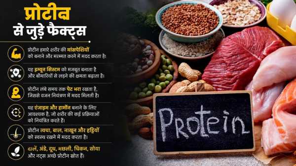 Protein Facts