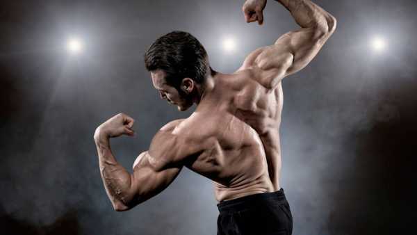 bodybuilding
