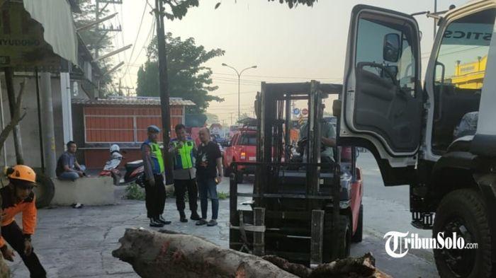 Truk kontainer tertimpa pohon tumbang saat sedang parkir di Jalan Semarang