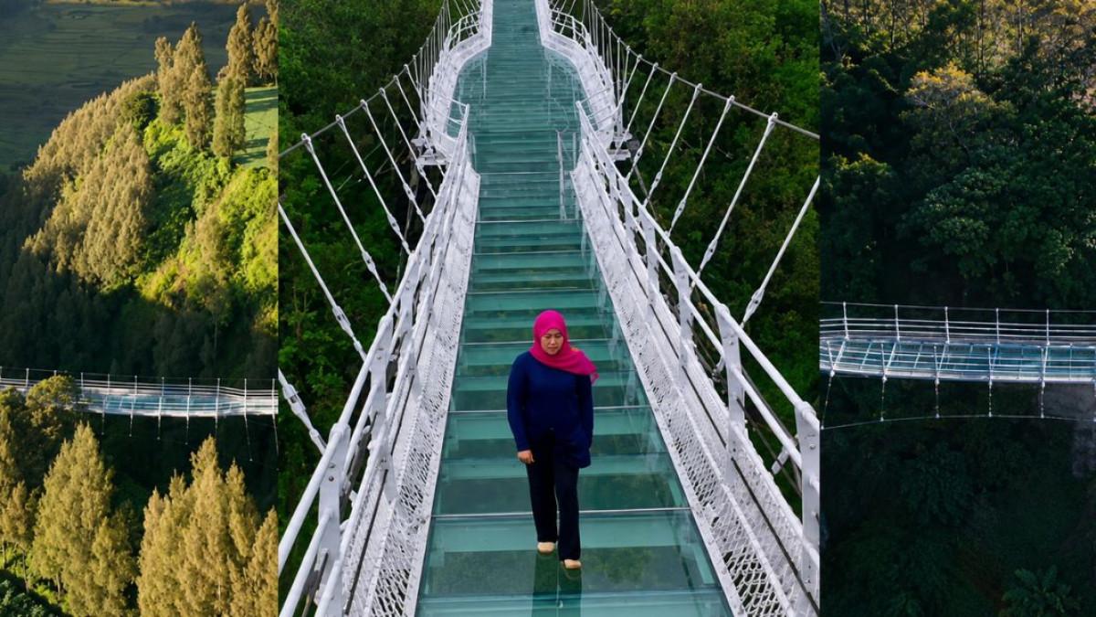 JEMBATA KACA - liburan sekolah ke Bromo makin seru di Jembatan Kaca Seruni Point. uji nyali sambil menikmati panorama pegunungan yang memukau.
