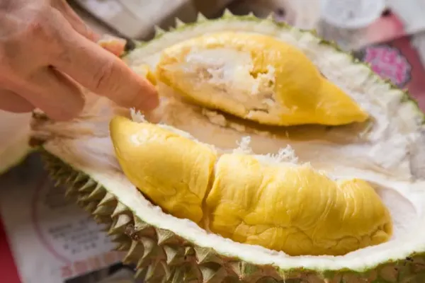 Durian Musang King