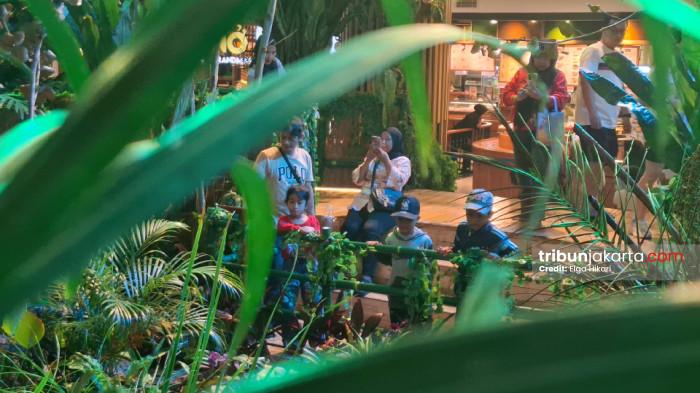 PANDANGI AIR TERJUN BUATAN MAL CIPUTRA - Anak-anak menikmati pemandangan air terjun buatan yang dihadirkan Mal Ciputra Jakarta di event Explore The Jungle  selama liburan sekolah. Sedangkan orangtua mereka nampak mengabadikan sang anak melalui kamera ponselnya dari arah belakang.TRIBUNJAKARTA.COM/ELGA PUTRA