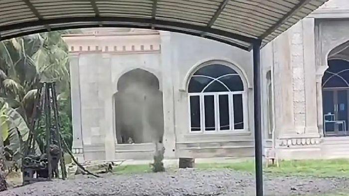 SEMBURAN LUMPUR PANAS - Semburan lumpur panas ke luar dari sumur yang dibor oleh warga untuk keperluan pemenuhan air di Gampong Meunasah Tingkeum, Kecamatan Madat, Aceh Timur, Rabu (1/7/2026). 
