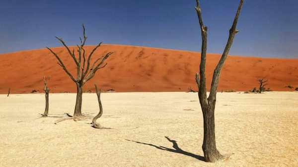 Great Green Wall Project Impact On Africa