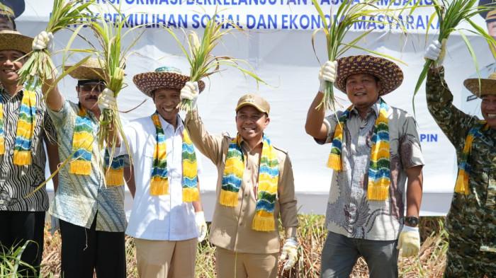Bupati Tapin H Yamani melakukan panen serai wangi