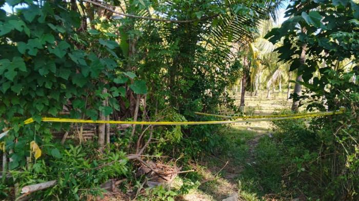 Potret lokasi penemuan makam bayi laki-laki di Kelurahan Kayumerah
