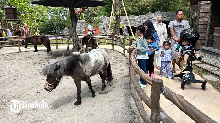 Mini zoo Pony Park ramai dikunjungi wisatawan saat liburan sekolah di Kelurahan Mojayan, Klaten