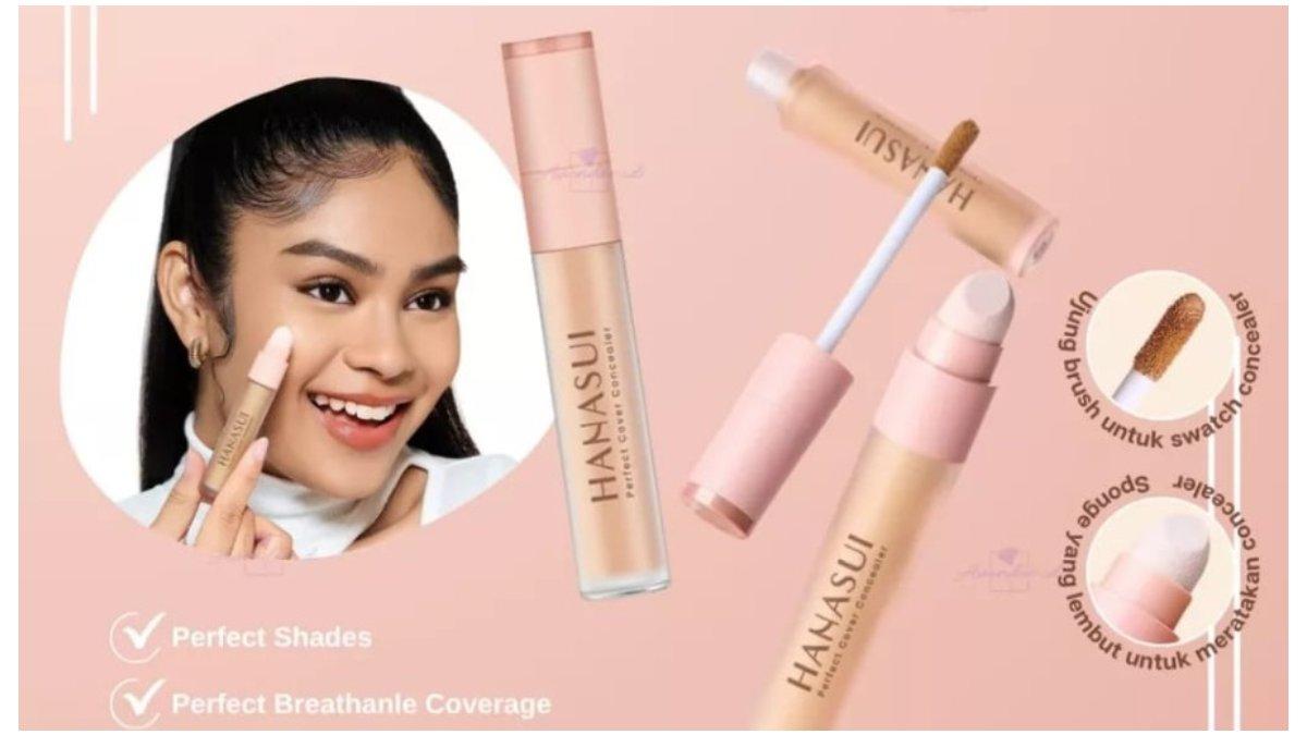 Hanasui Perfect Cover Concealer 