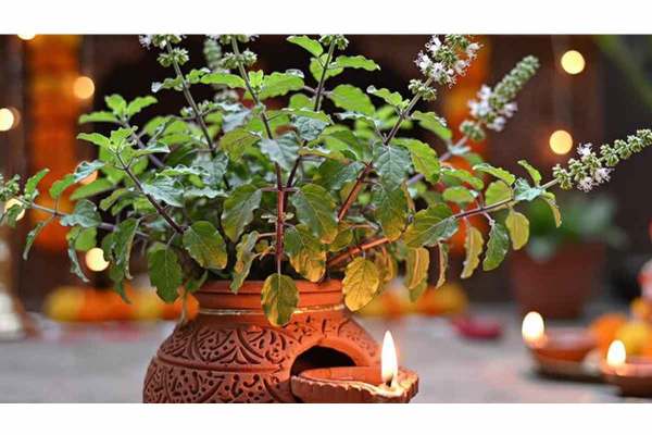 Home Vastu tips: Discover 5 clay items believed to attract Goddess Lakshmi