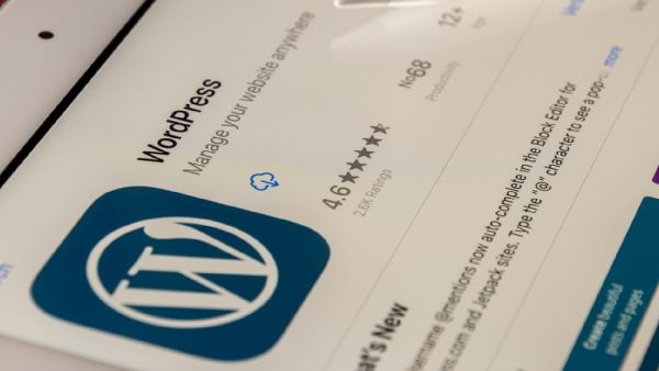 WordPress bug, custom taxonomies in WordPress