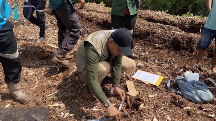 Tim Balai Besar Konservasi Sumber Daya Alam (BBKSDA) Riau saat  observasi lapangan,pengumpulan data, serta olah tempat kejadian perkara (TKP) terkait serangan harimau Sumatera di Pelalawan.